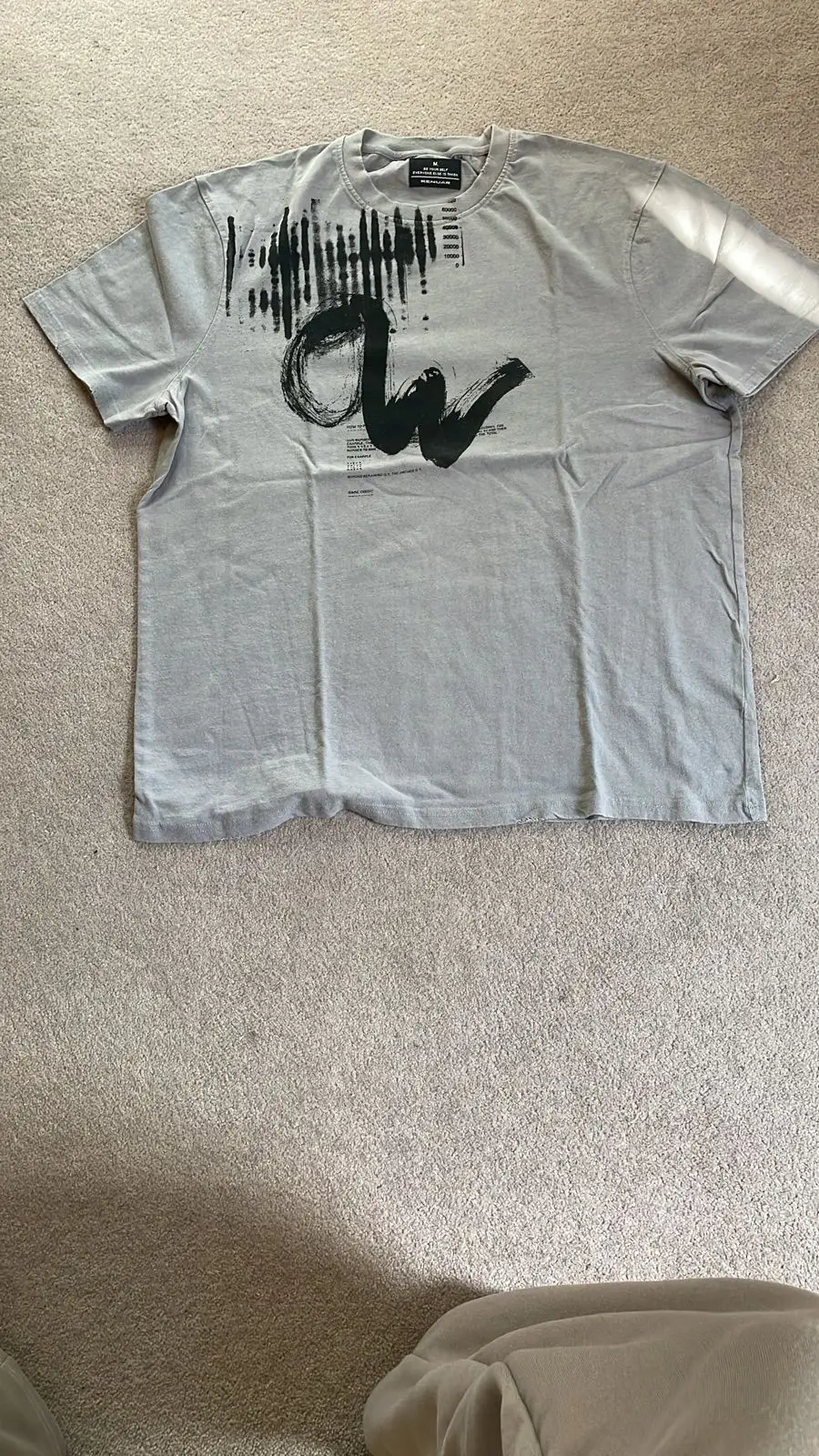 Renuar Grey Graphic T-Shirt