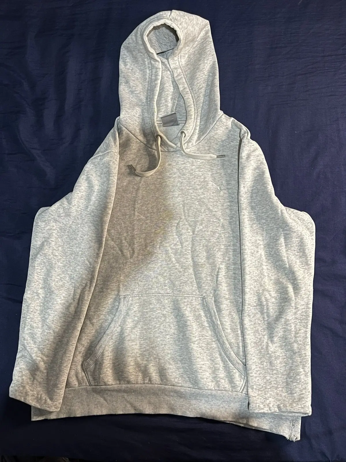 Puma Grey Pullover Hoodie