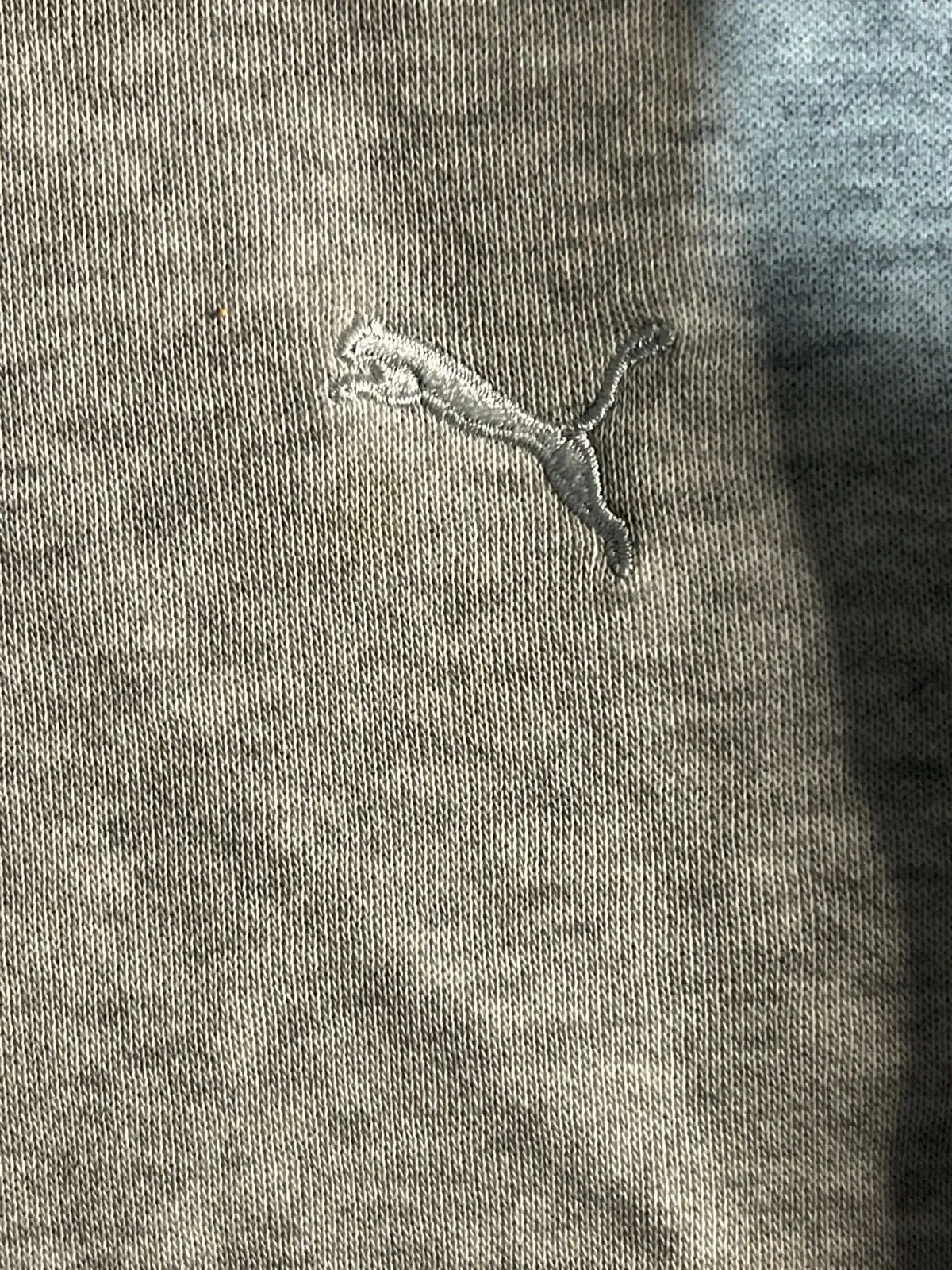 Puma Grey Pullover Hoodie