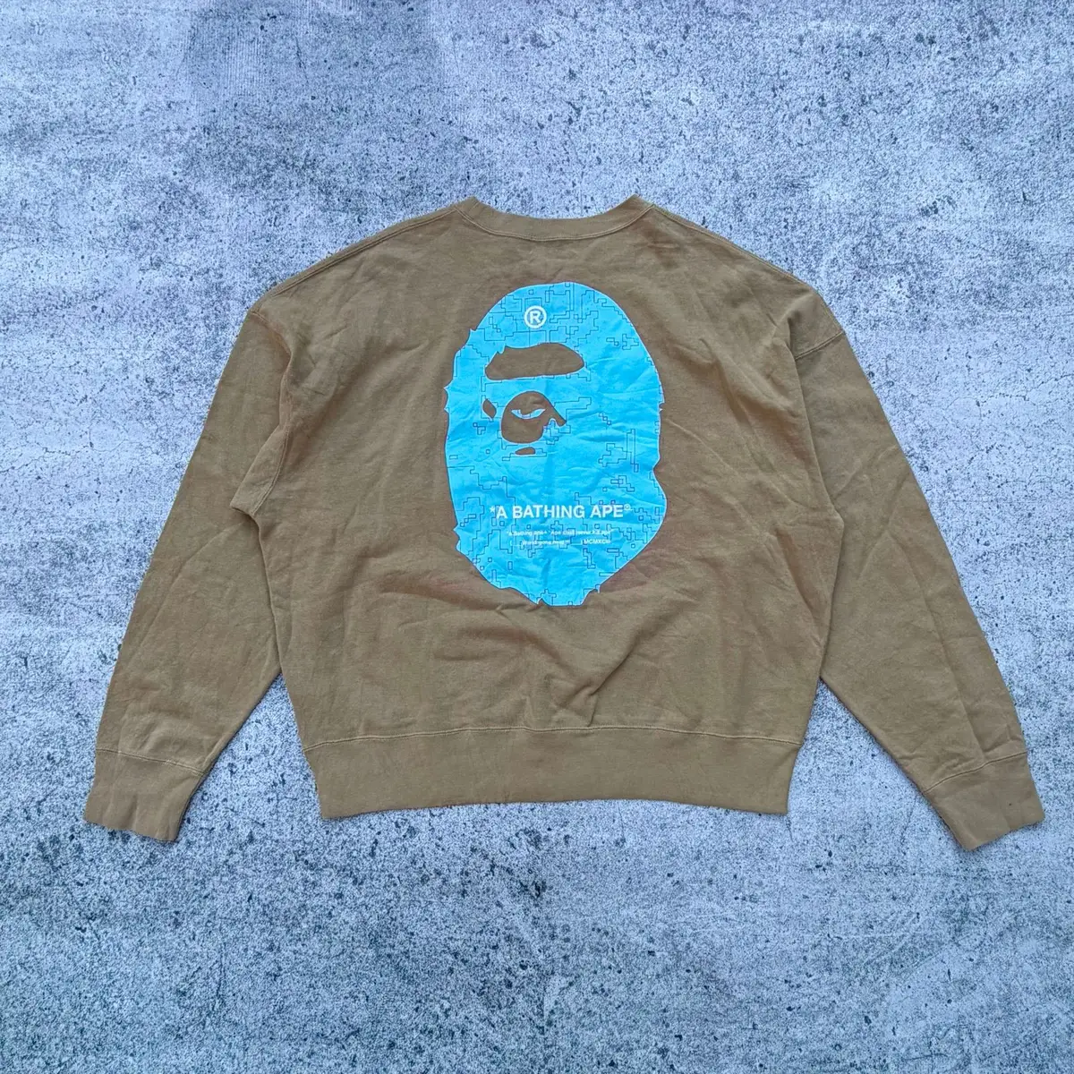 Bape Blue Graphic Brown Sweatshirt