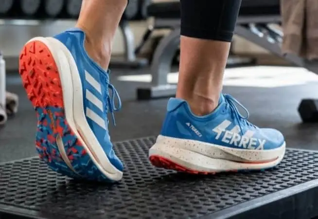 Adidas Terrell carbon trail shoes
