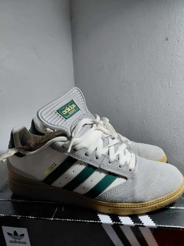 Adidas Busenitz