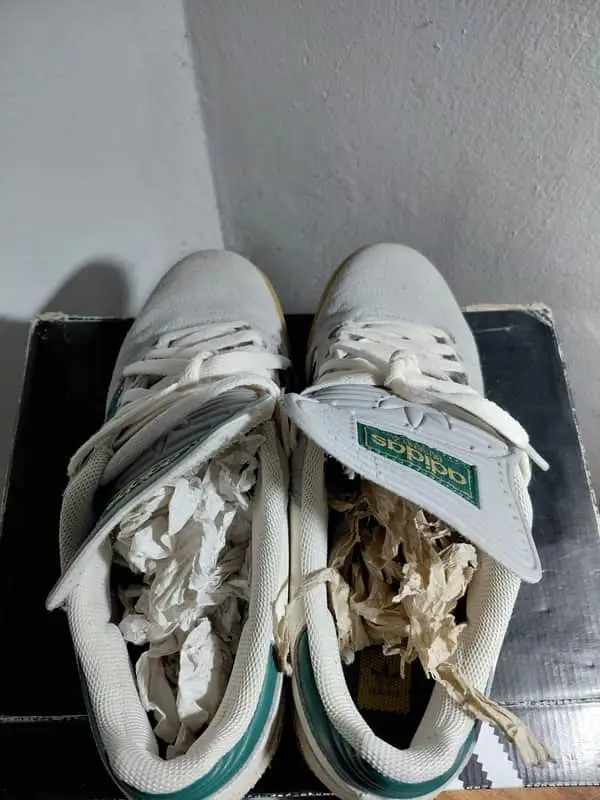 Adidas Busenitz