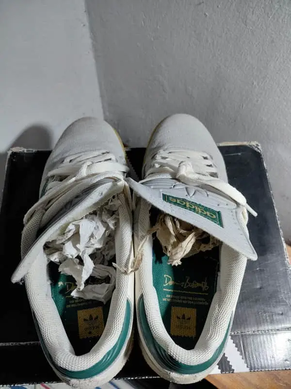 Adidas Busenitz
