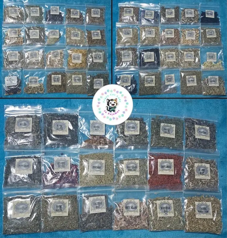 🔮 COMPLETE WICCAN STARTING KIT 🧿