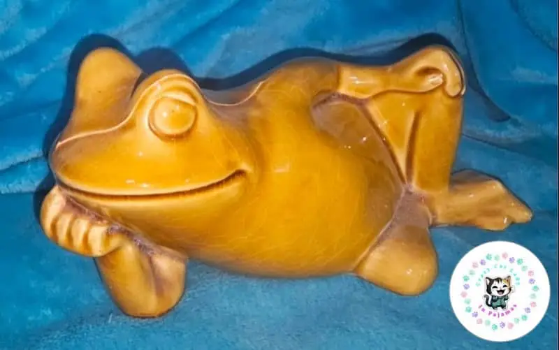 🐸 CERAMIC FROG 🐸