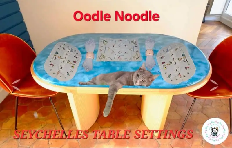 & Other Stories 🏝️ SEYCHELLES TABLE SETTINGS 11pc🏝️