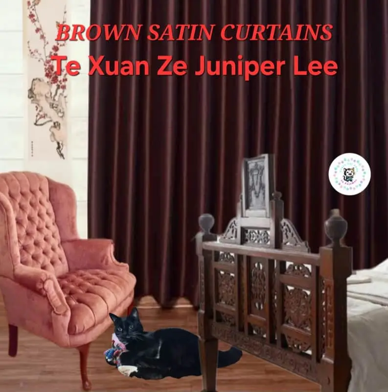 & Other Stories 🍫 BROWN SATIN CURTAINS x3 🍫