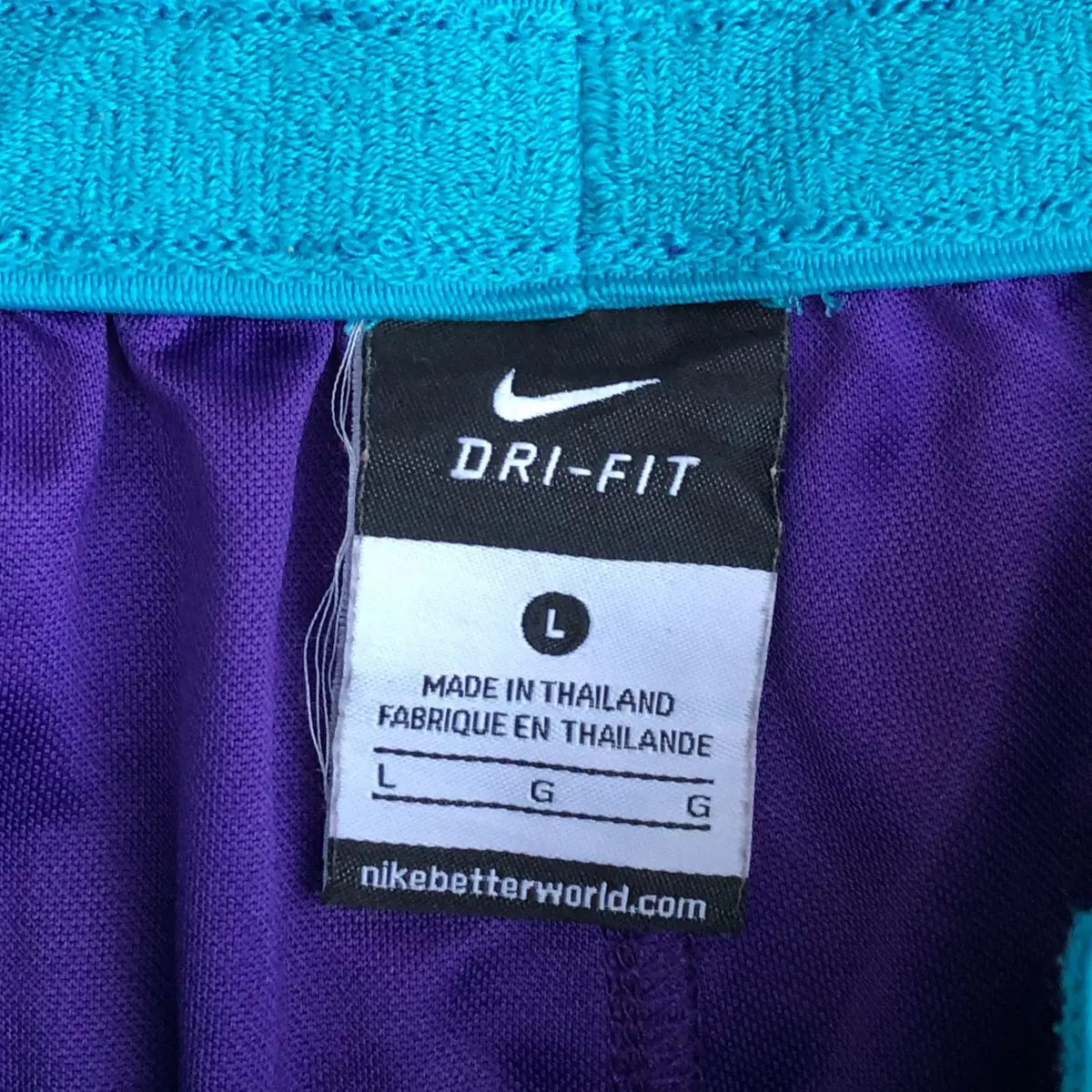Nike Purple Athletic Shorts