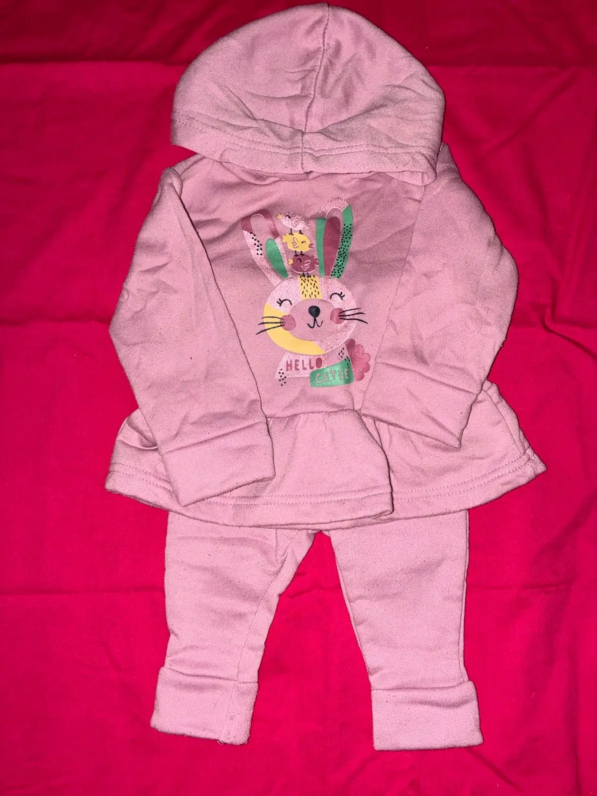 Baby Coral Hoodie and Pants Outfit