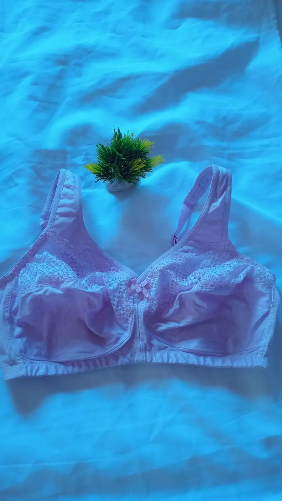 Light Purple Lace Bra Size 40
