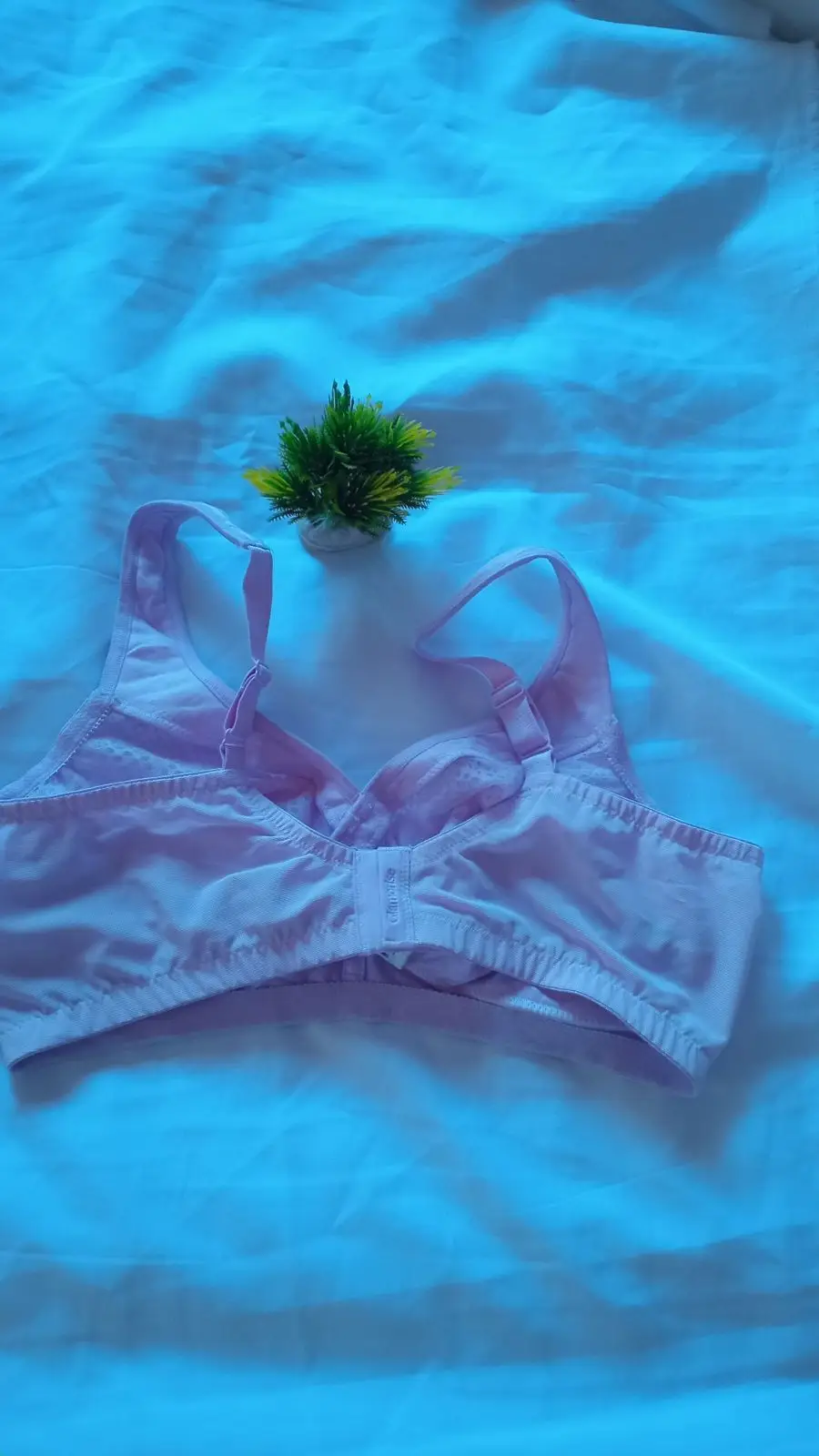 Light Purple Lace Bra Size 40
