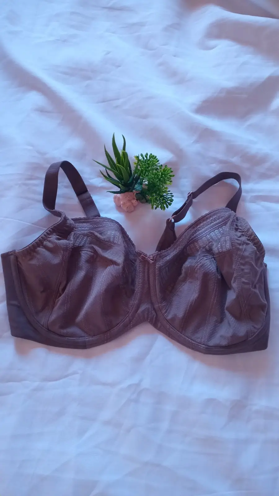 Mauve Full Coverage Bra Size 38