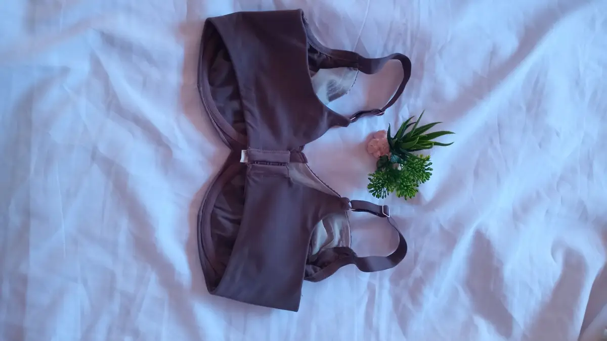 Mauve Full Coverage Bra Size 38
