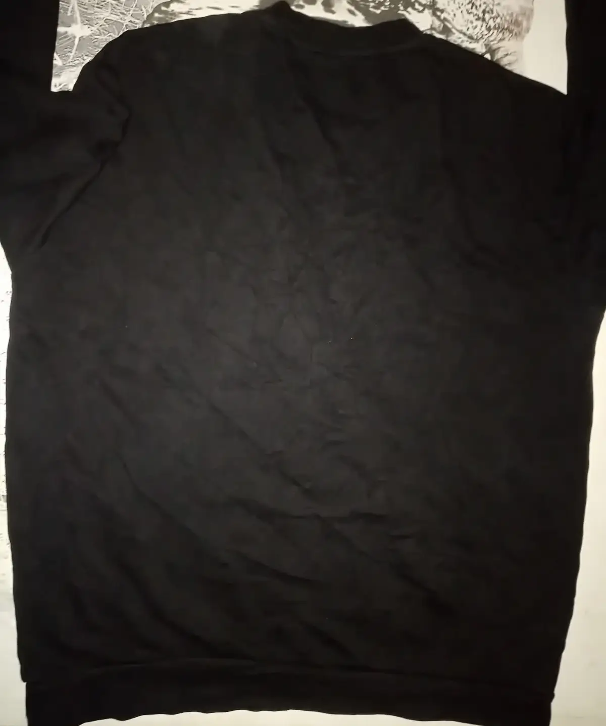 Zara Black Sweatshirt With Gold Embroidered Lion Design