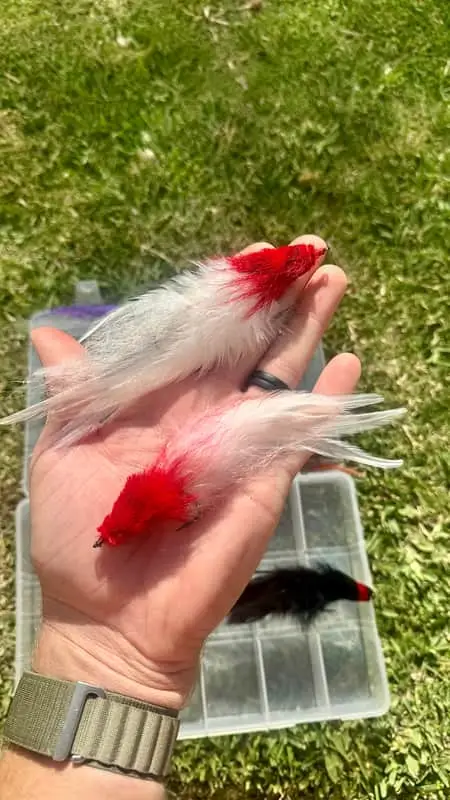Fly fishing flies