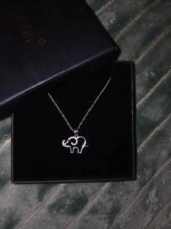 & Other Stories Elephant pendent on a silver necklace