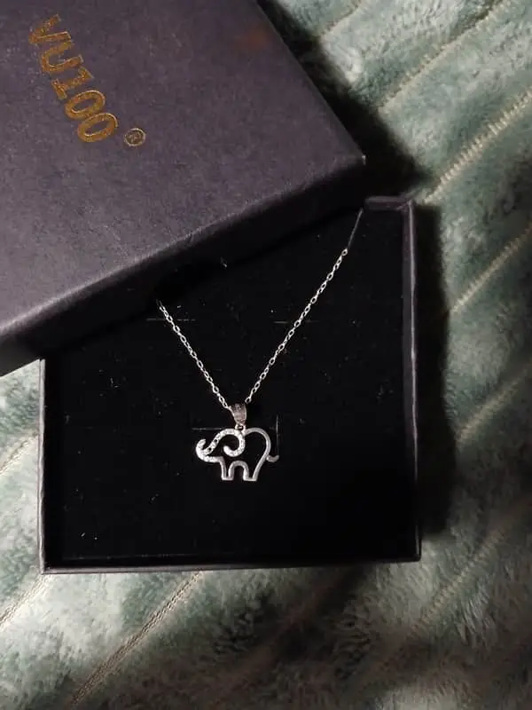 Elephant pendent on a silver necklace