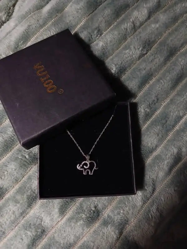 Elephant pendent on a silver necklace