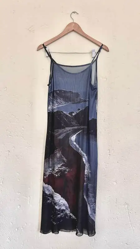 Shein Sheer Blue Dress With Scenic Deatil