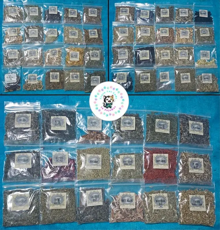 Complete Wiccan Bundle