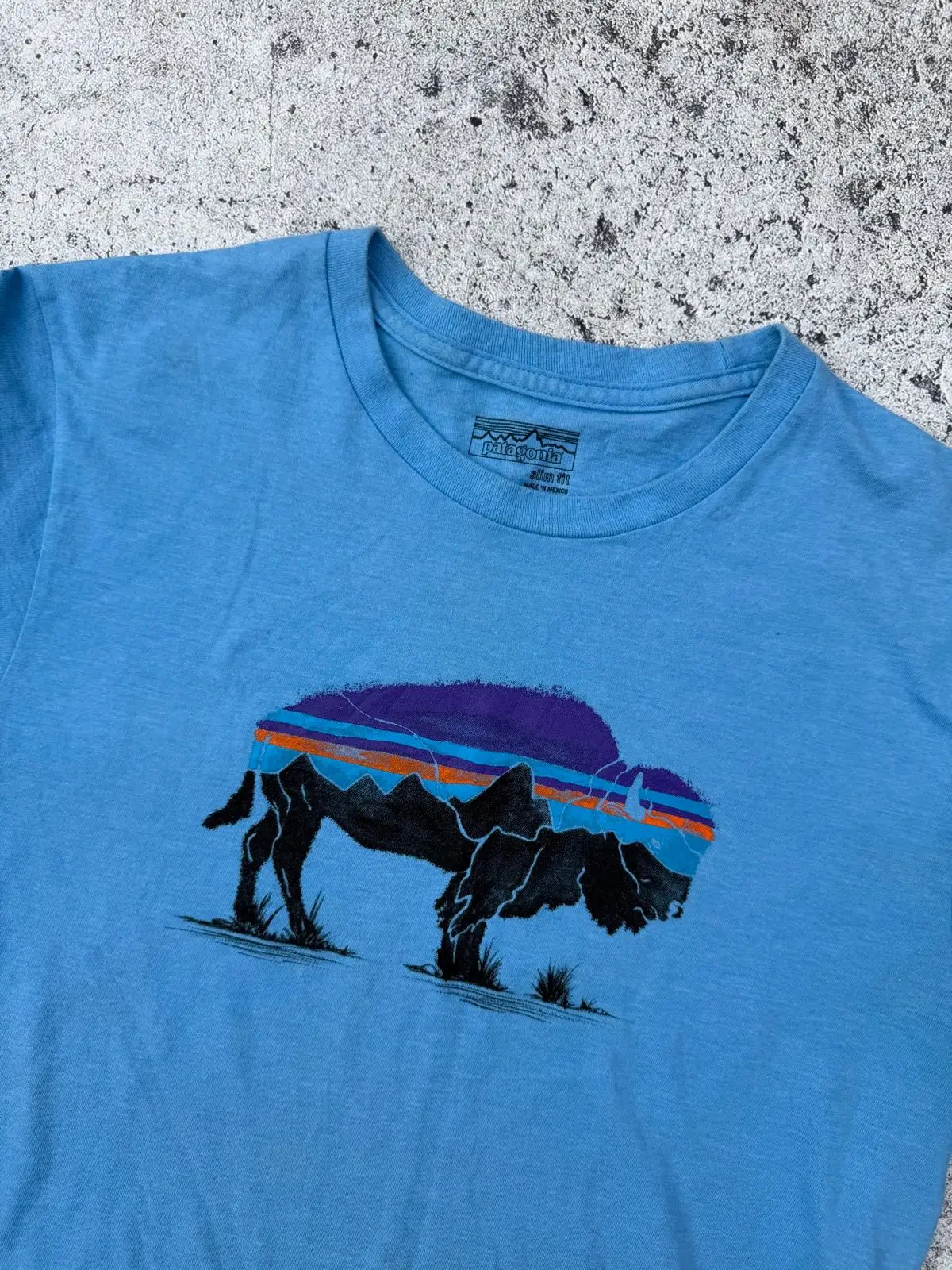 Patagonia Graphic T-Shirt Blue