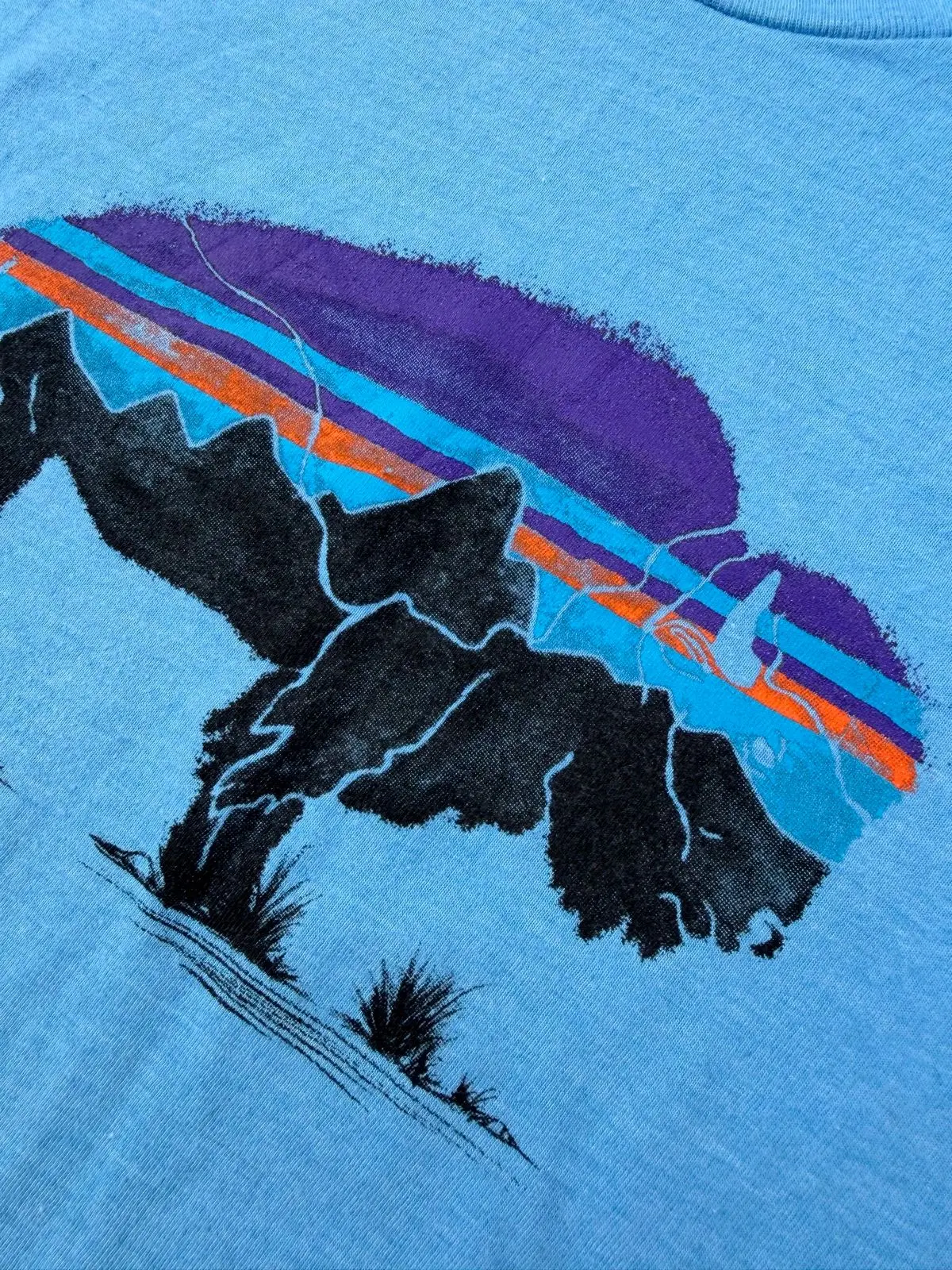 Patagonia Graphic T-Shirt Blue