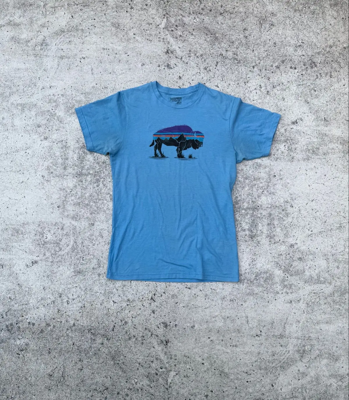 Patagonia Graphic T-Shirt Blue