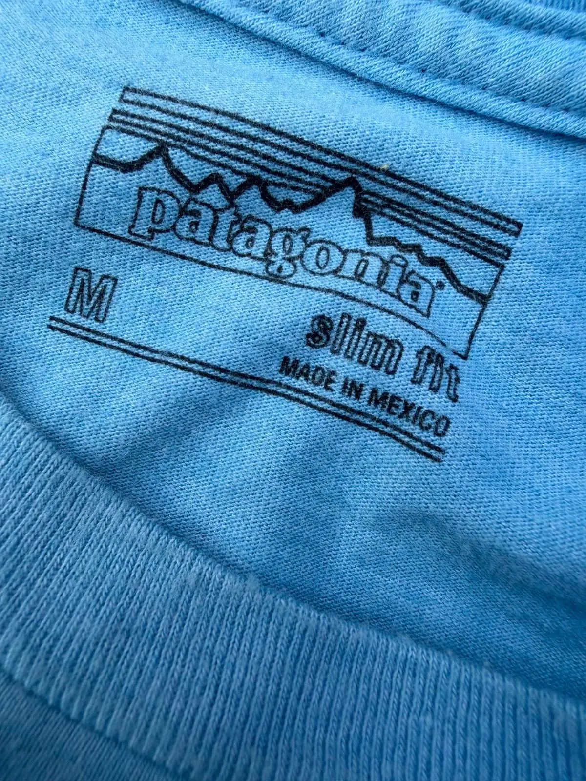 Patagonia Graphic T-Shirt Blue