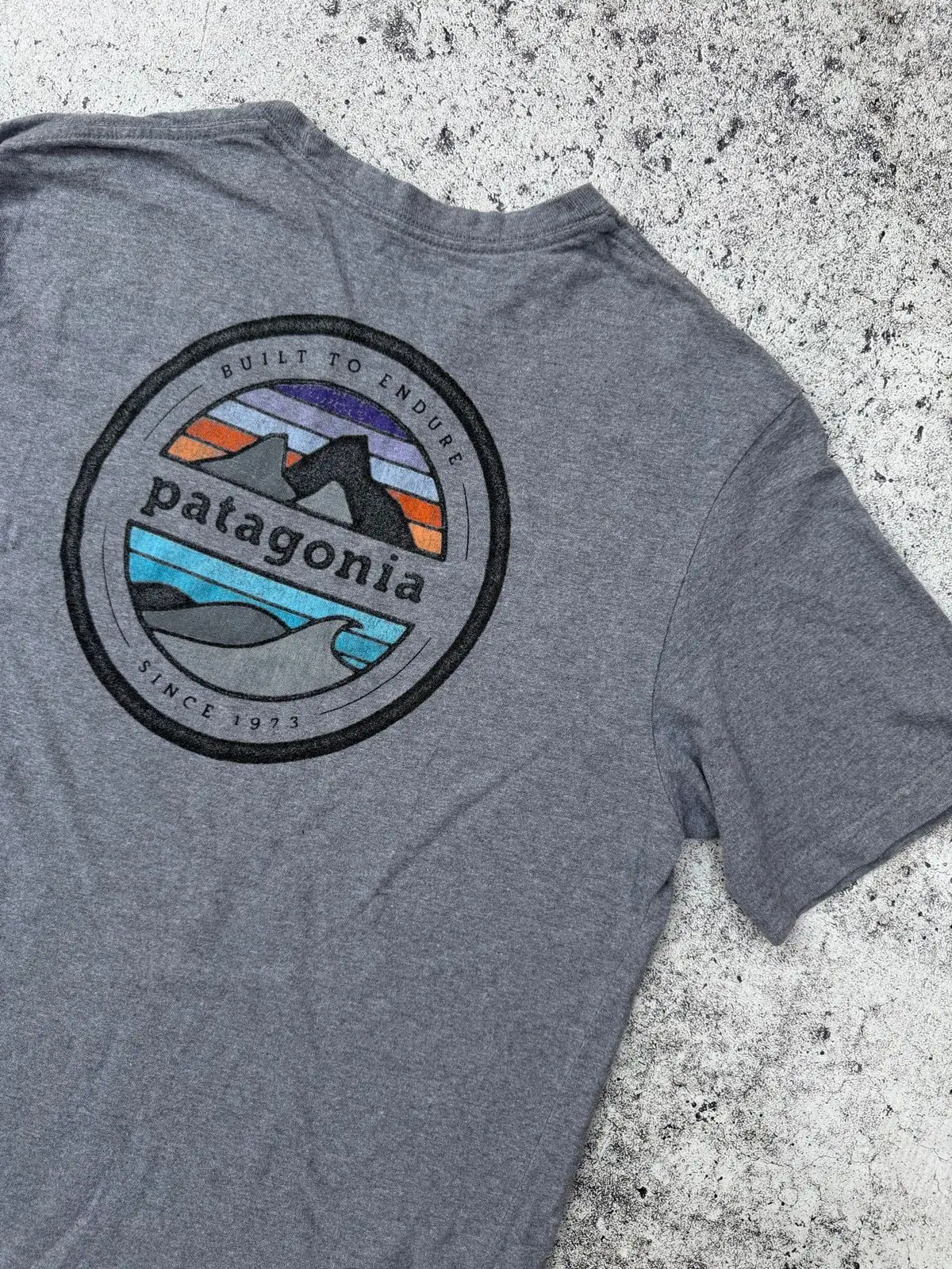 Patagonia Built To Endure Graphic T-Shirt Grey
