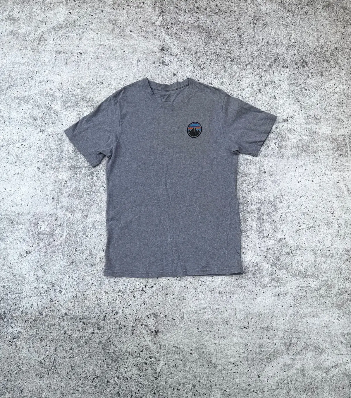 Patagonia Built To Endure Graphic T-Shirt Grey
