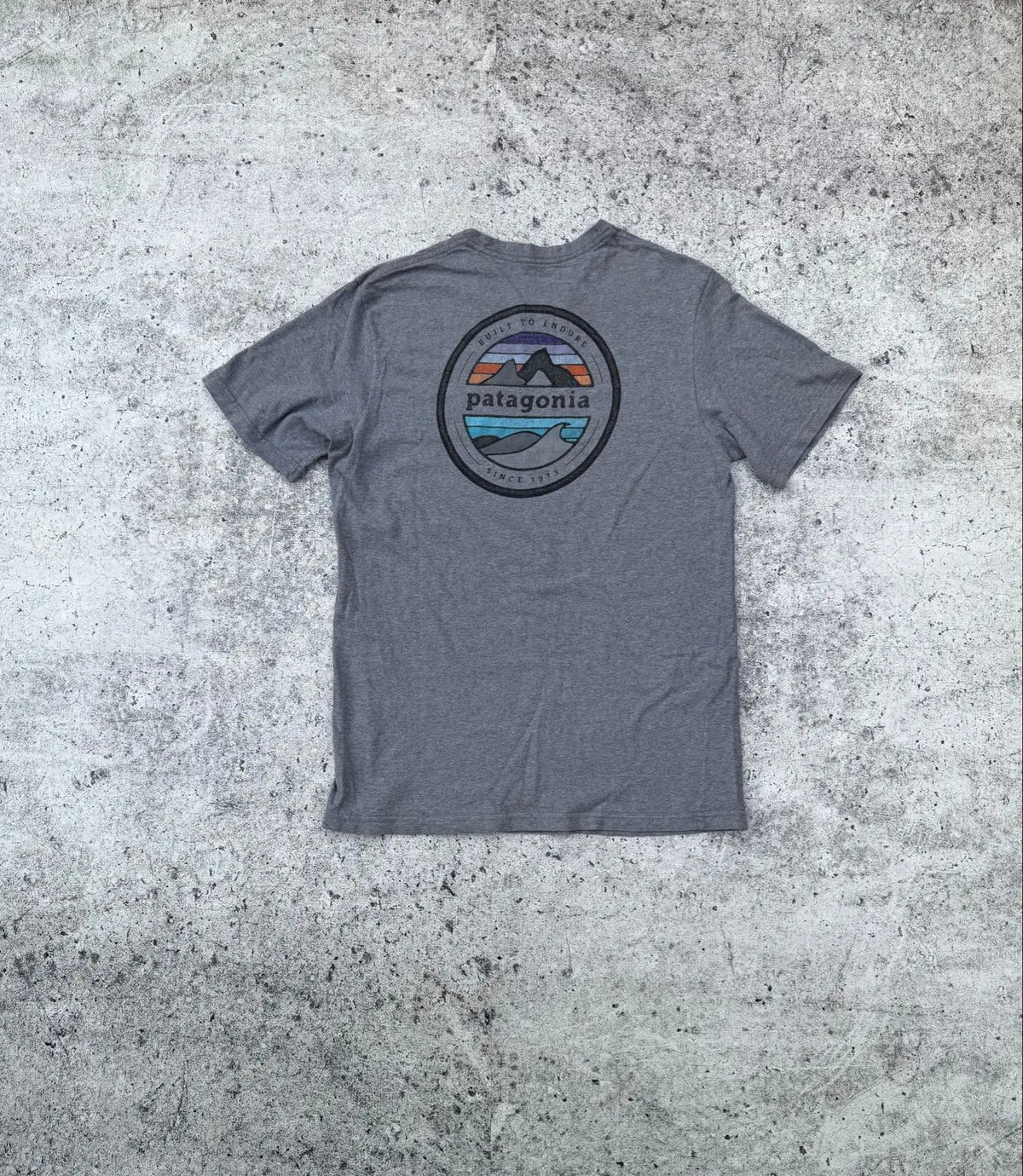 Patagonia Built To Endure Graphic T-Shirt Grey