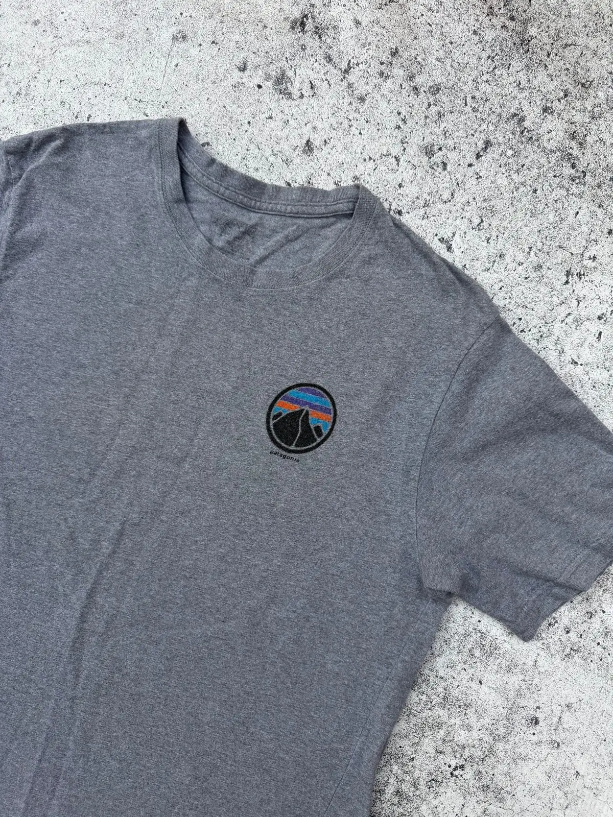 Patagonia Built To Endure Graphic T-Shirt Grey