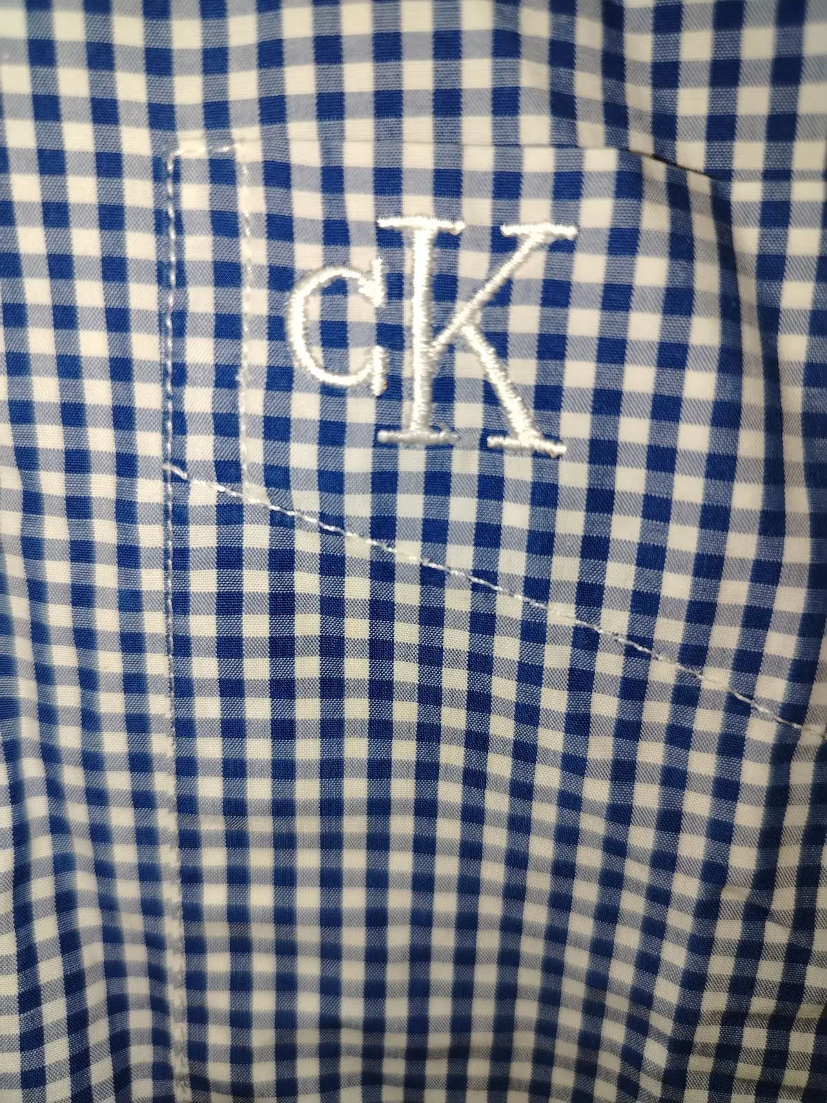 Calvin Klein Blue Gingham Long-Sleeve Shirt