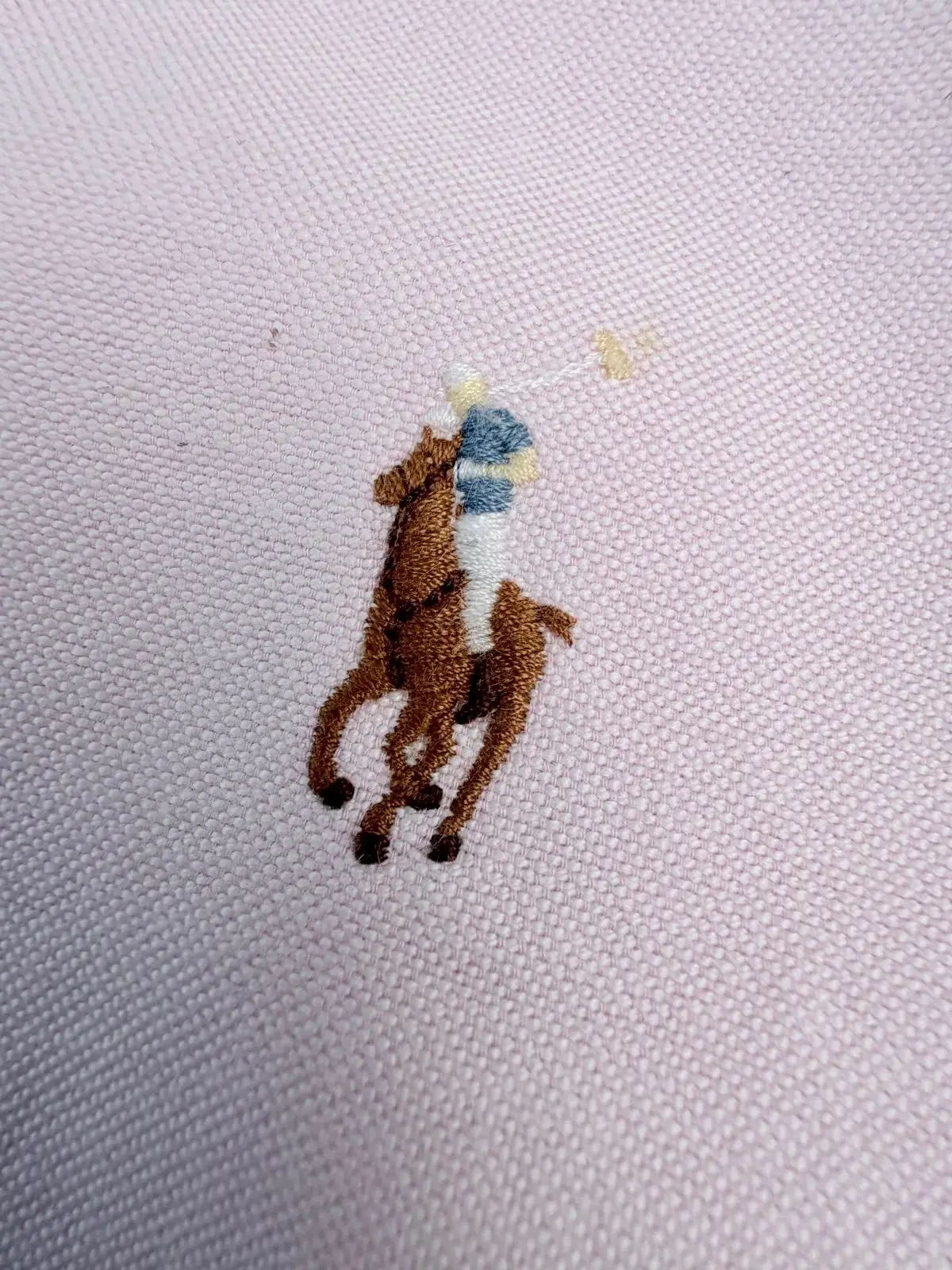 Ralph Lauren Pink Long Sleeve Button-Down Shirt
