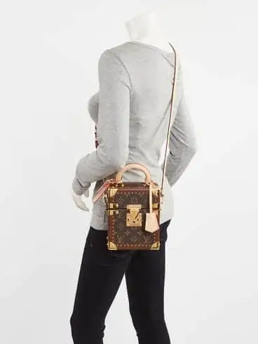 Louis Vuitton Monogram Macassar canvas hard-sided trunk