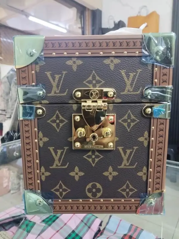 Louis Vuitton Monogram camera box