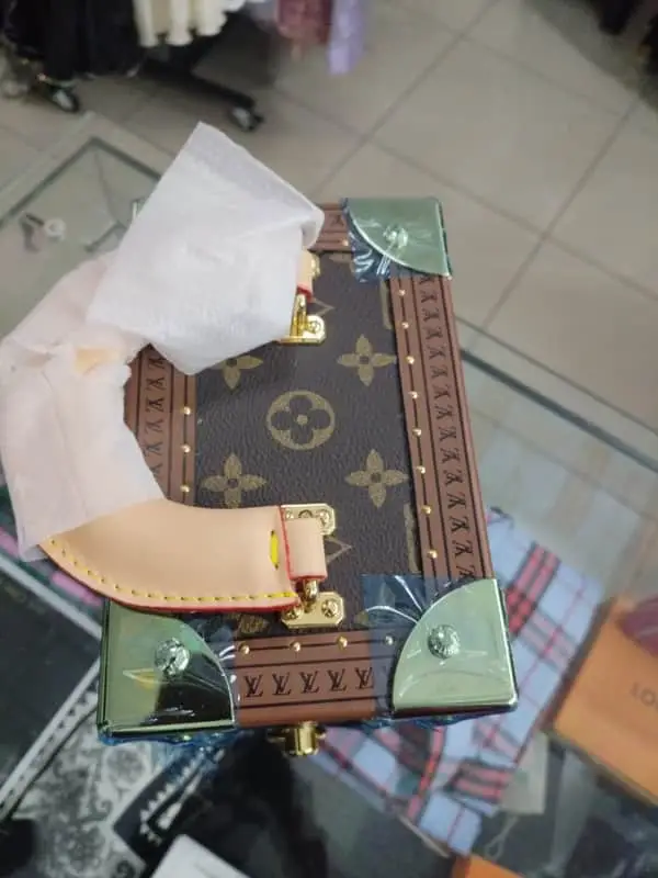 Louis Vuitton Monogram camera box