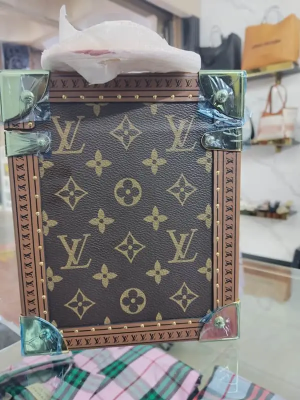 Louis Vuitton Monogram camera box