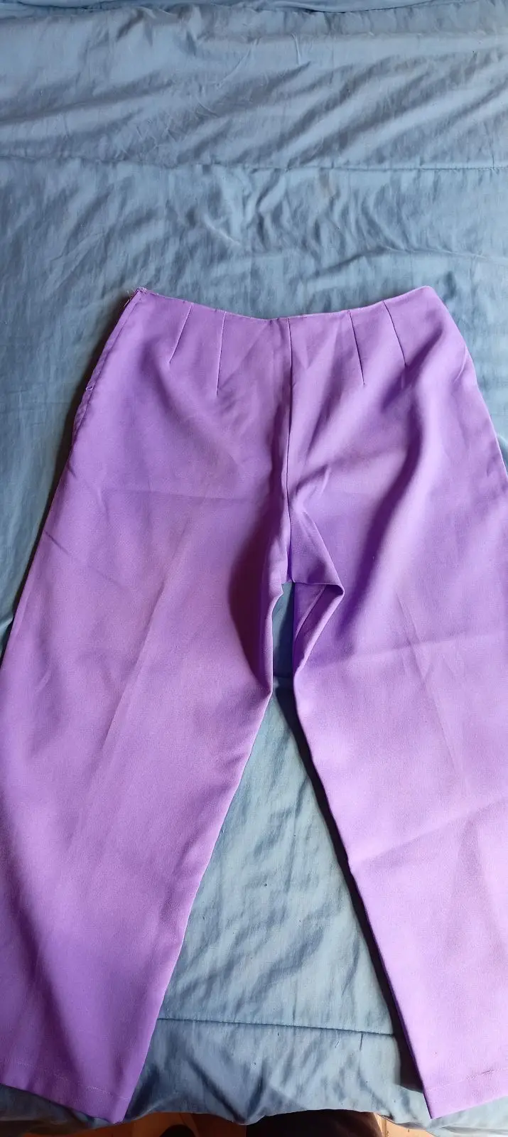 Purple Trousers