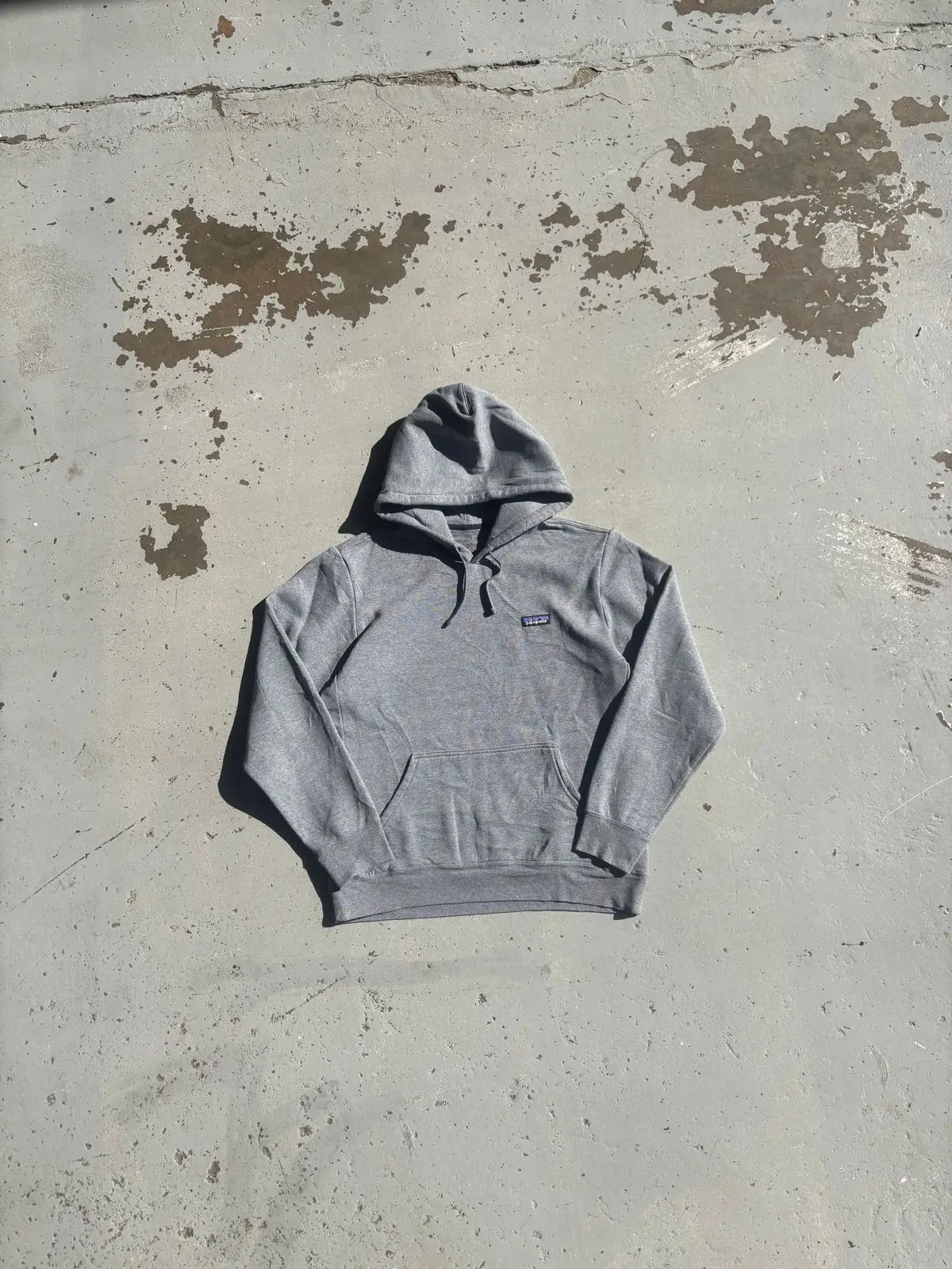Patagonia Grey Hooded Sweatshirt