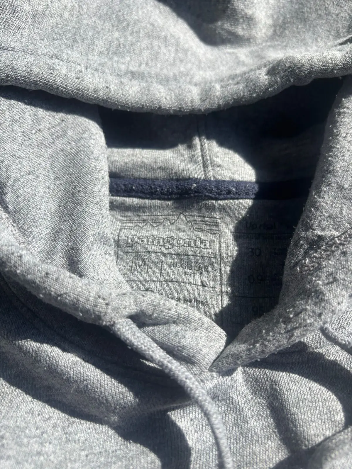 Patagonia Grey Hooded Sweatshirt