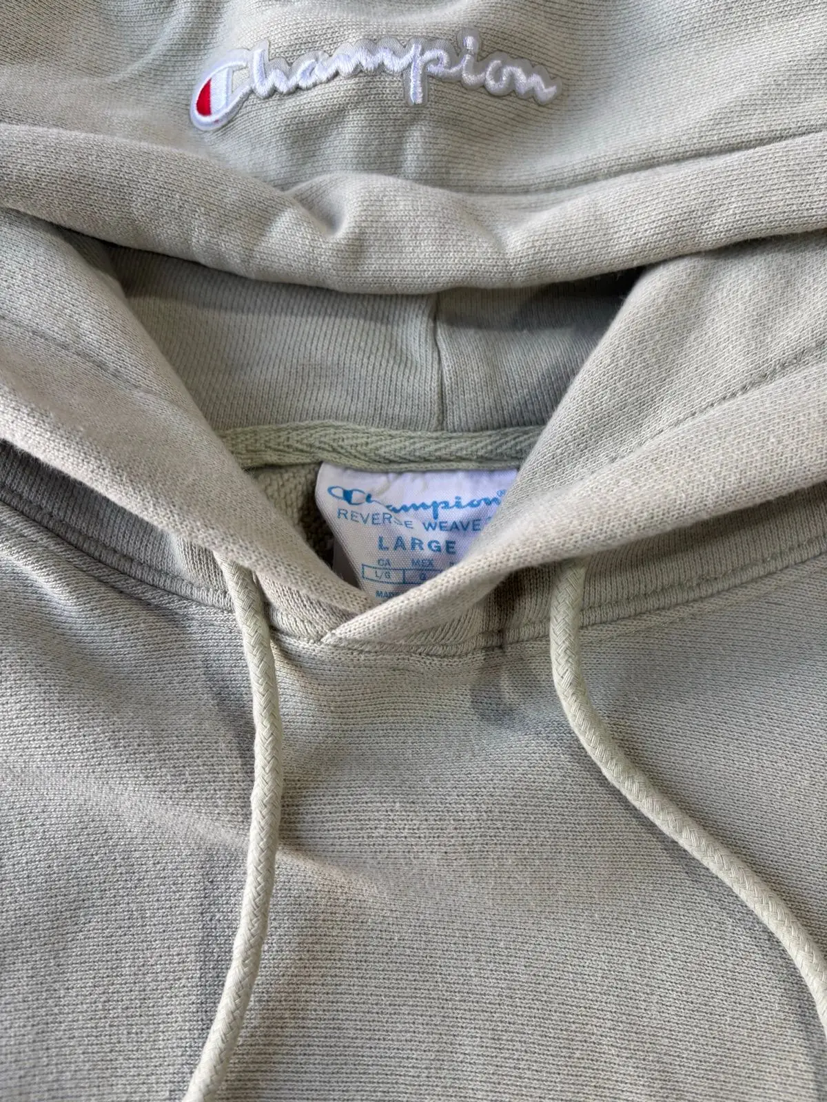 Champion Sage Green Hoodie