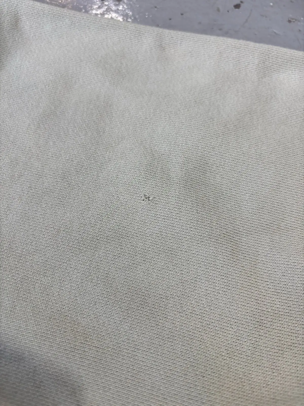 Champion Sage Green Hoodie