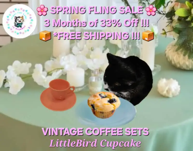 Vintage Coffee Sets 2x8 Pcs FREE Canister