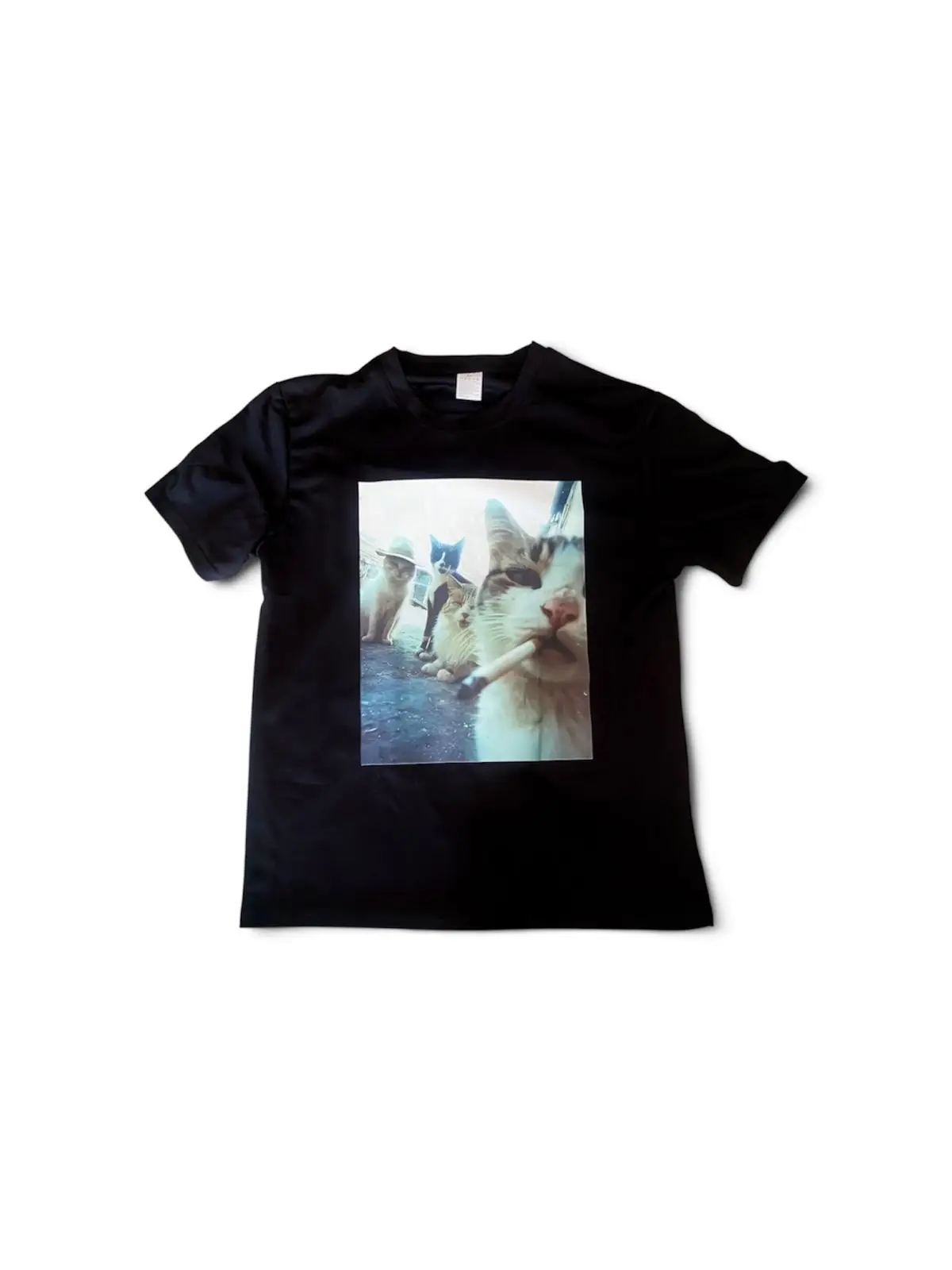Black Graphic T-Shirt Cats Print