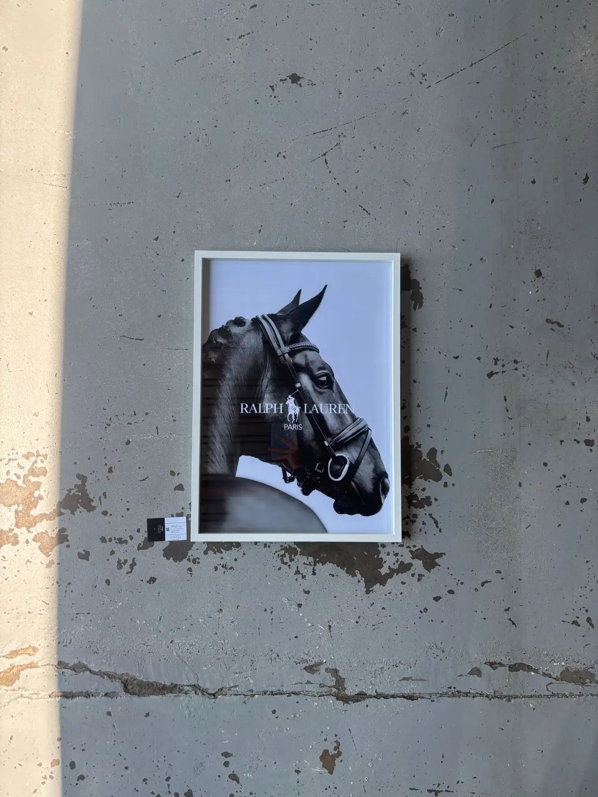 Ralph Lauren Paris Horse Framed Print