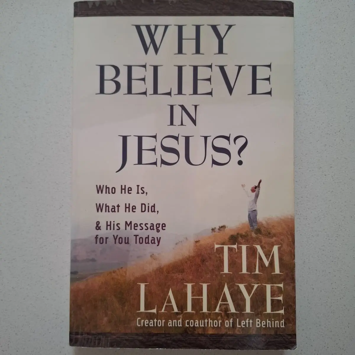 Christian / Faith Book Bundle (Tim LaHaye & Liz Gwyn)