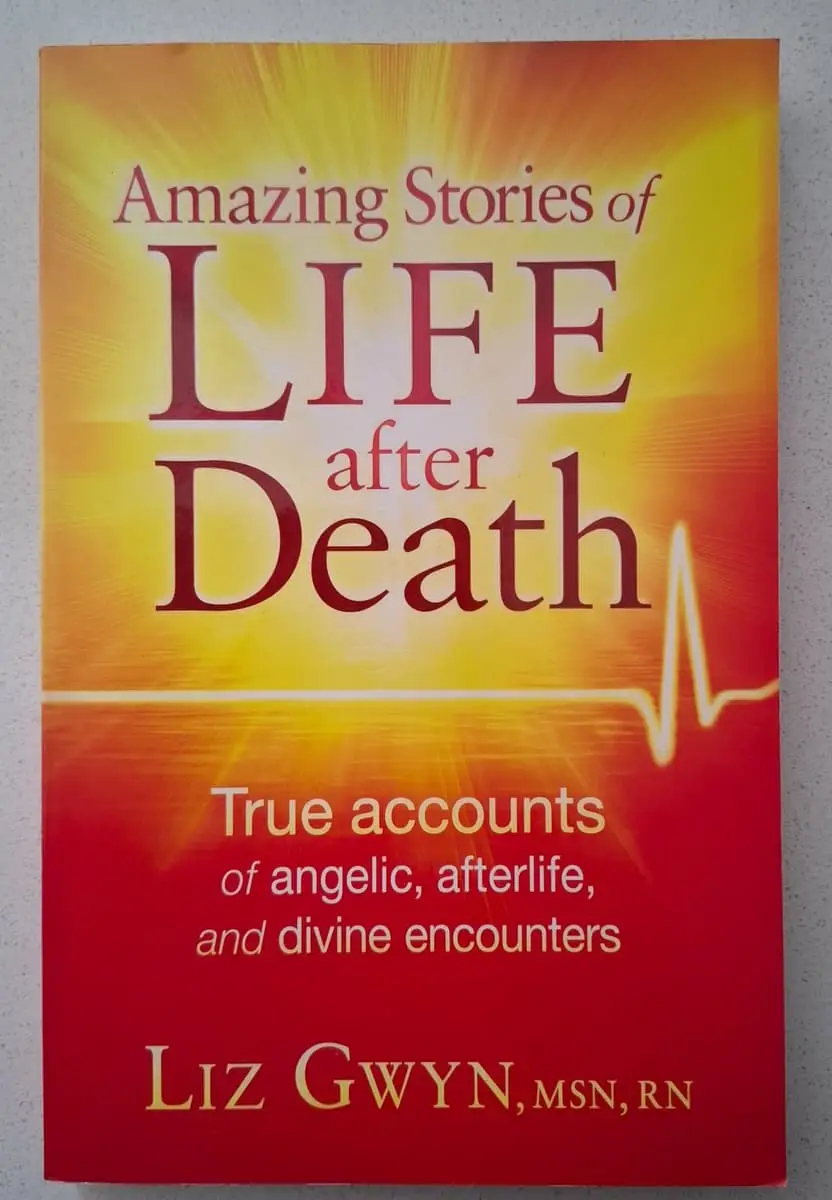 Christian / Faith Book Bundle (Tim LaHaye & Liz Gwyn)