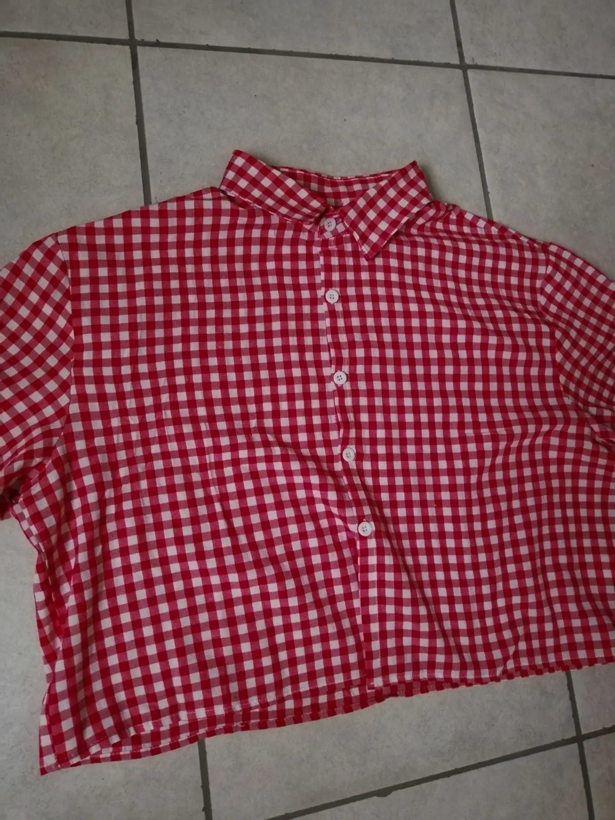 Red and White Gingham Button-Up Shirt